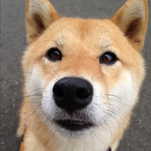 开云网页版登录入口-_青少年运动创新大赛：激发无限潜能_，青少年创新大赛宣传标语