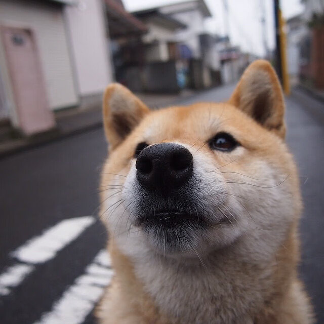 kaiyun官方入口登录-比利时举重队在本届奥运会上未获得奖牌，比利时举重选手
