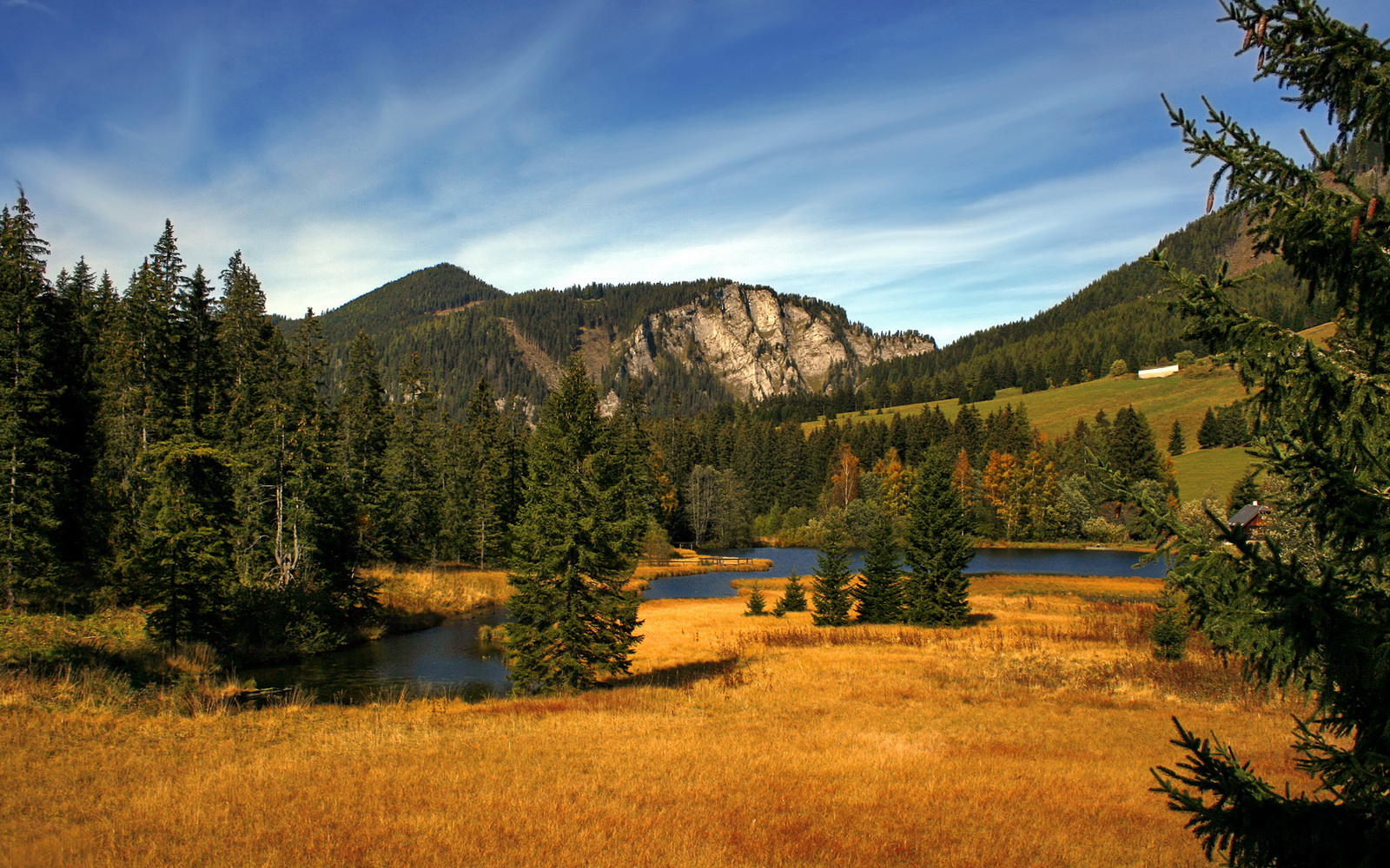 法国马术队在巴黎奥运会障碍赛团体决赛中获得铜牌，展现出色表现。
