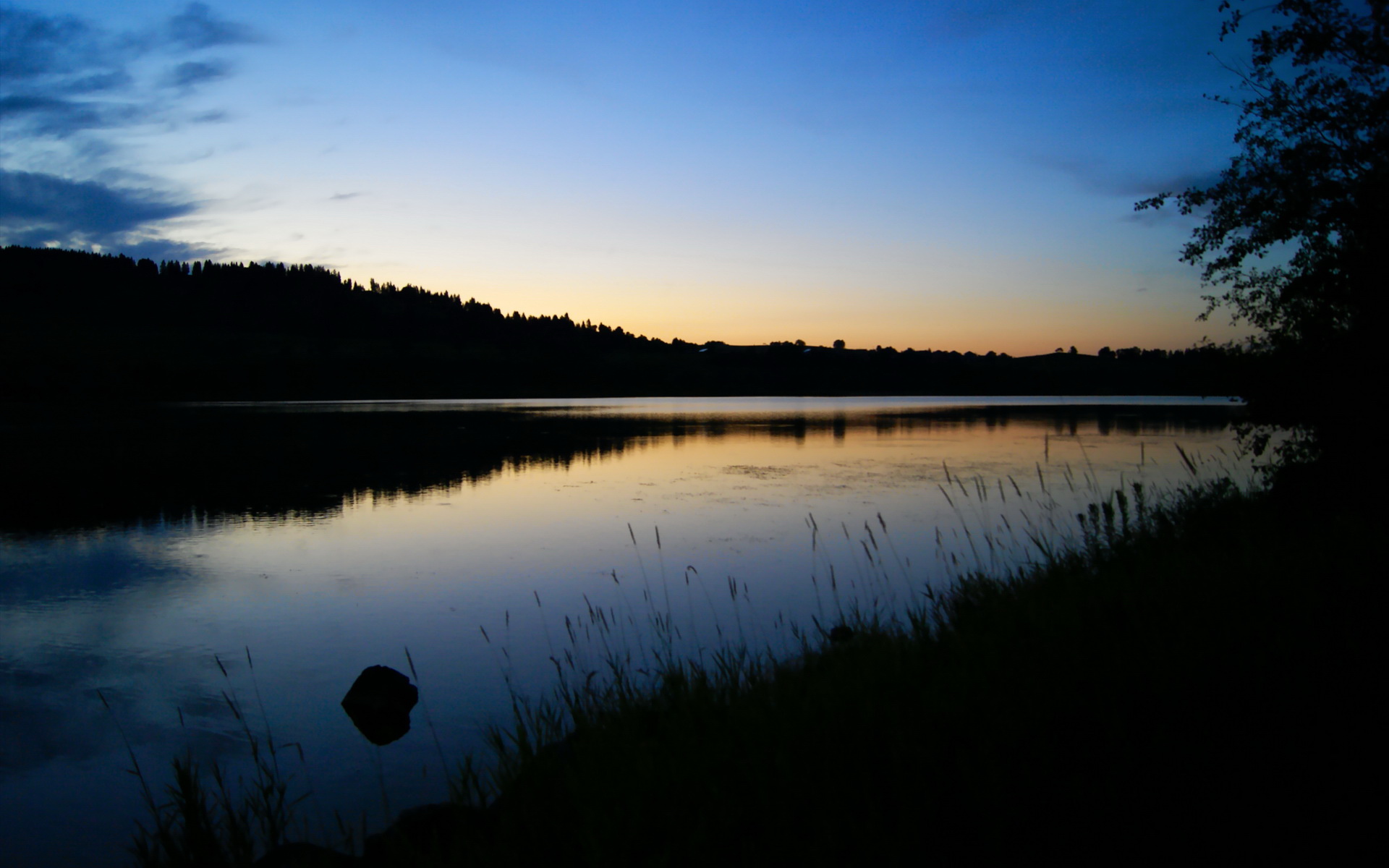 开云网站-环保与高速的平衡：F1的绿色转型路径，f1 环保