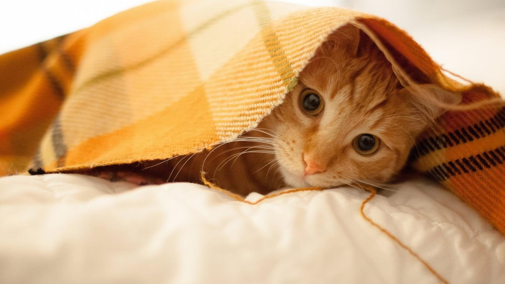 皇马历史性的5连胜，稳坐积分榜首，皇马历年联赛成绩统计