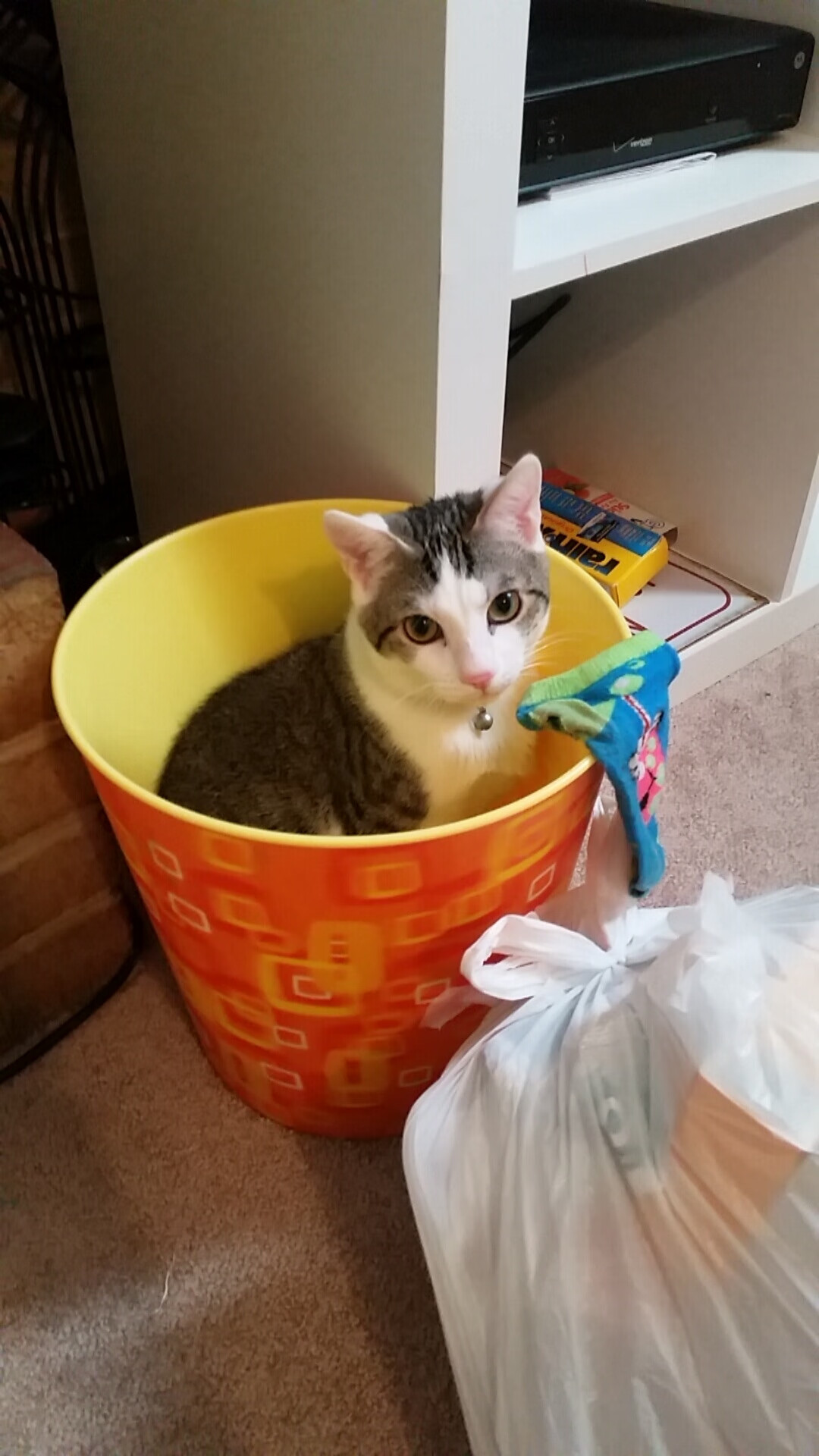 迷你世界“创造狂欢”创意大赛火爆进行中,迷你世界创意玩法