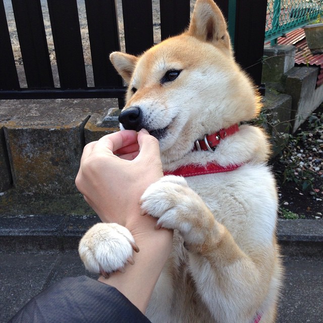 kaiyun网站-CBA新政策公布，引发球迷热议关注，cba规则新规定大全