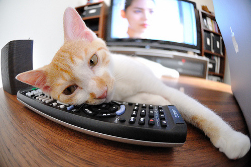 哈特尔浦高空球处理精准,维多利亚公园死守底线,哈特维尔特