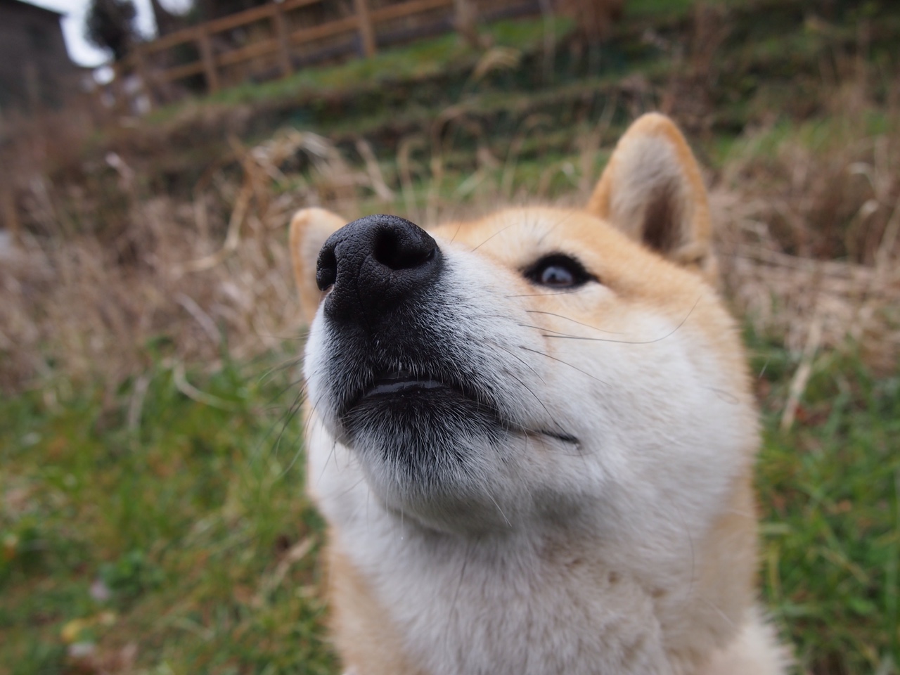 塞尔维亚凭借制胜球，晋级欧洲杯主办分组，塞尔维亚欧国联小组排名