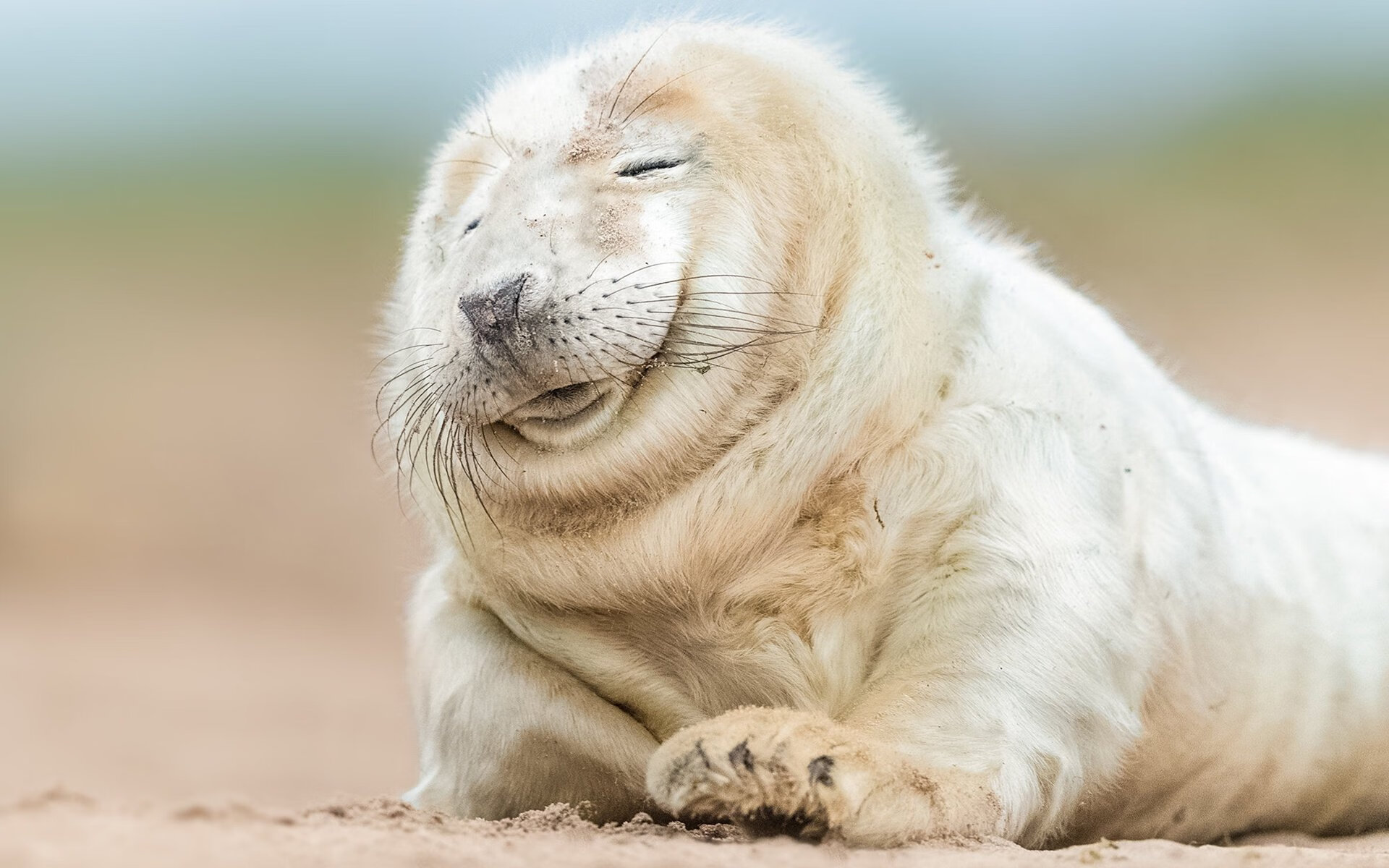 女足世界杯争议判罚引讨论，女足世界杯误判