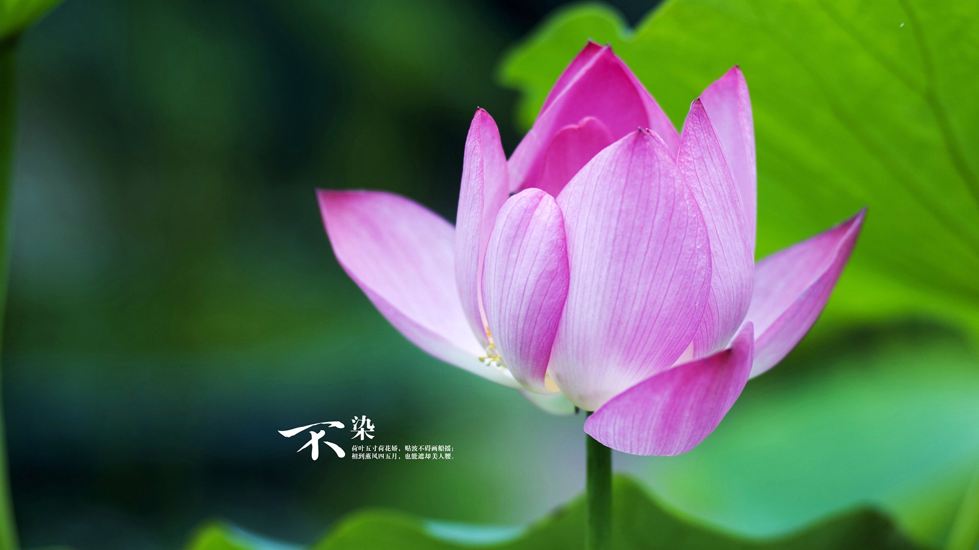 欧国联赛决赛在即,球队士气高昂,欧国联赛程2020谁能拿冠军