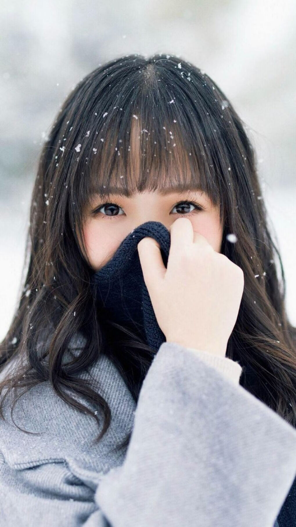 森林狼球队球队年轻球员发挥关键，森林狼球队怎么样