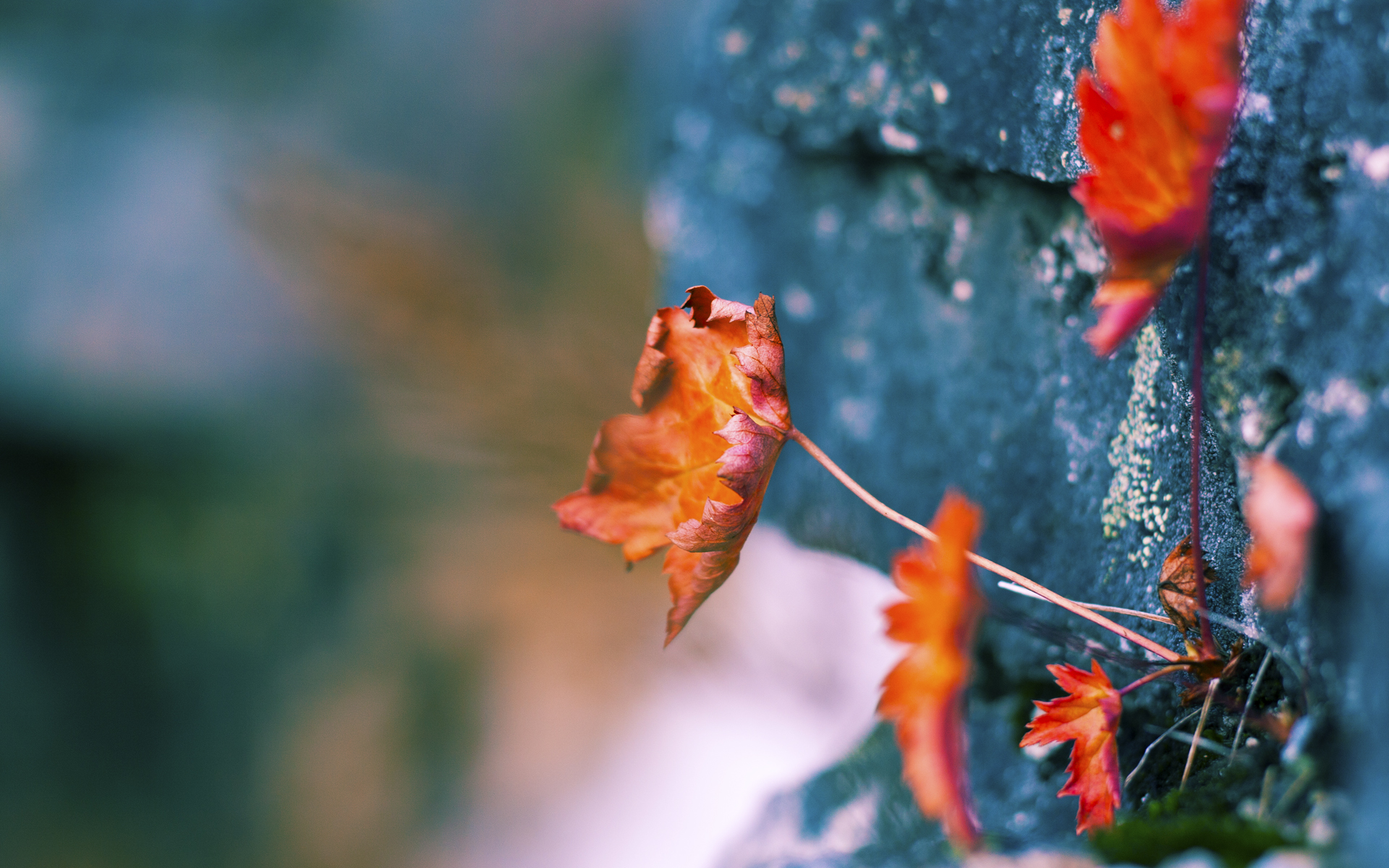 kaiyun开云·官方网站-火箭队主帅：球队表现近期有起有落，火箭队主力是谁