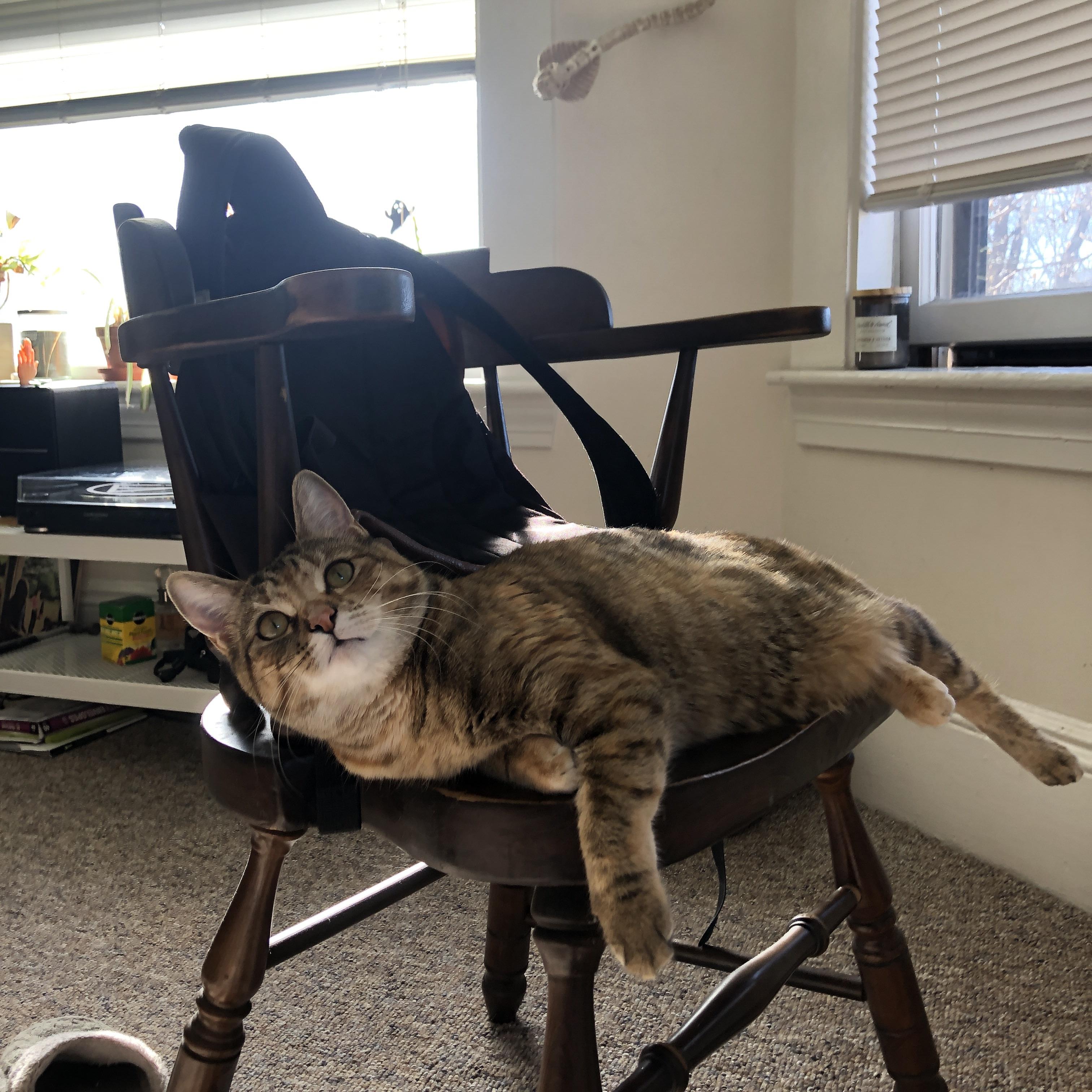 kaiyun登录入口-罗马尼亚与瑞典上演生死战，梦想欧洲杯正捉襟见肘，瑞典与罗马尼亚足球比分预测