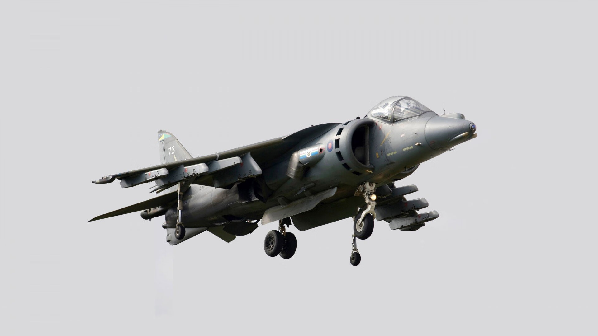 开云官网APP下载-阿根廷女足球员被评为本赛季最有潜力新秀，阿根廷女足实力