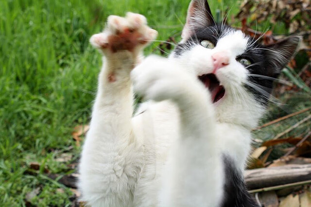 世界青少年冰雪运动会在哈尔滨精彩纷呈，青少年冰雪运动的宣传标语