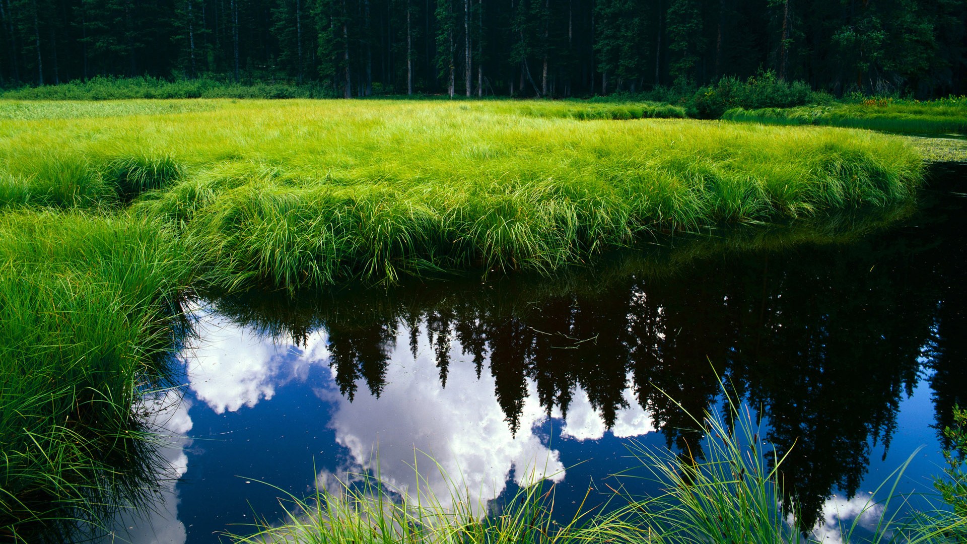 篮球专项体能训练疲劳评估与恢复策略,篮球运动健身效果的体能评定方法