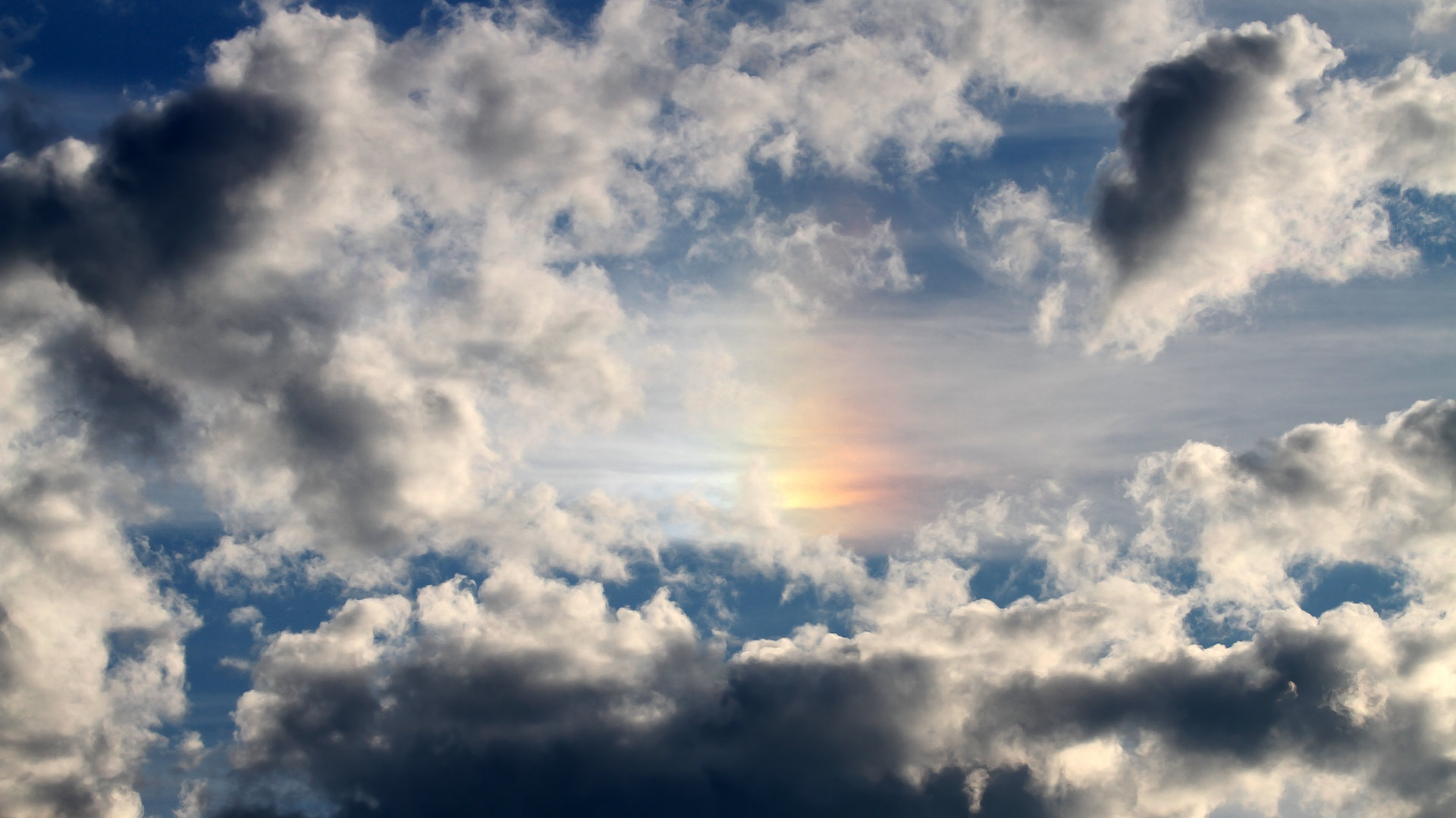 kaiyun.com-里昂组织端表现出色掌控场上节奏，里昂技术