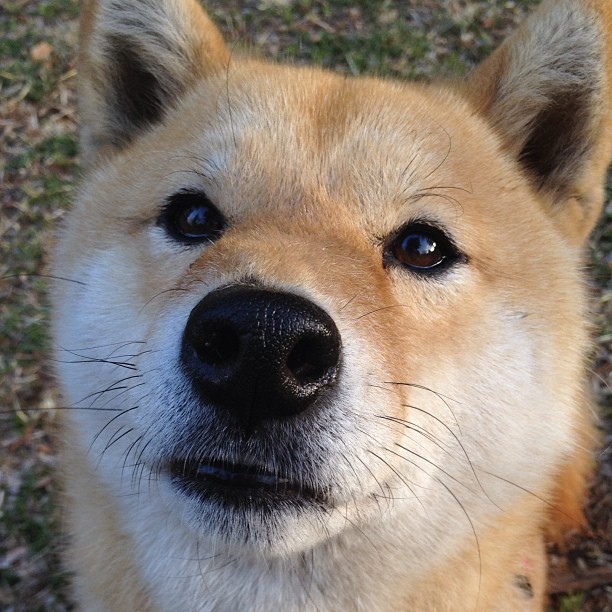 开云网页版登录入口-索马里男篮在非洲锦标赛中拼搏不止，守护荣誉，非洲索马里兰